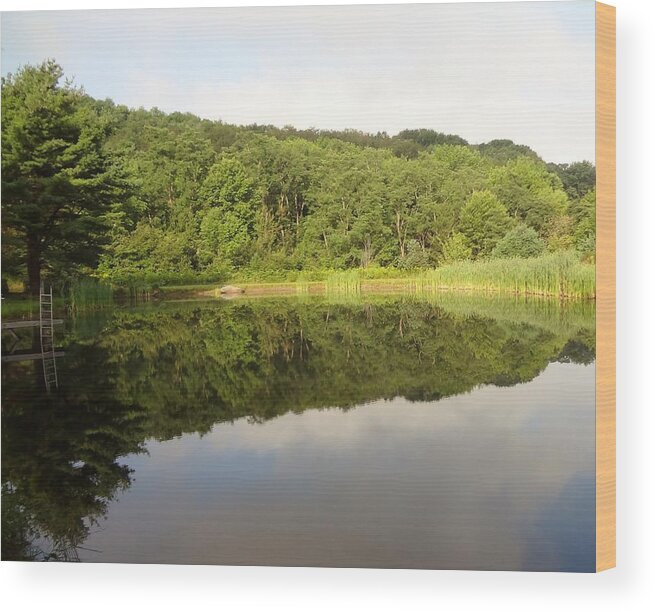 Reflection Wood Print featuring the photograph Relaxation by Michael Porchik