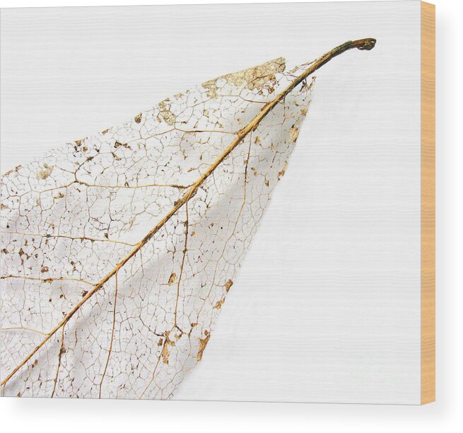 Leaf Wood Print featuring the photograph Remnant Leaf by Ann Horn