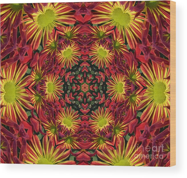 Kaleidoscope Wood Print featuring the photograph Roomum by Judy Wolinsky