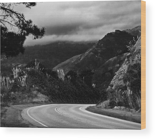  Wood Print featuring the photograph Route 1 - Big Sur by Dana Sohr