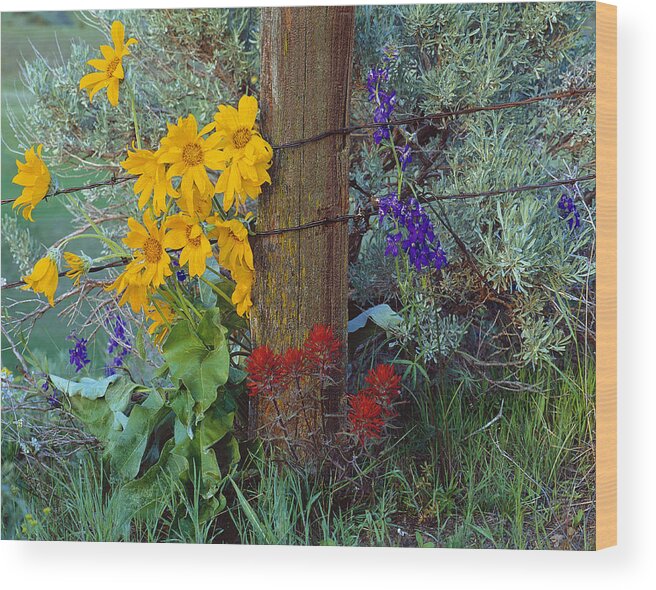 Idaho Scenics Wood Print featuring the photograph Rural Spring by Leland D Howard