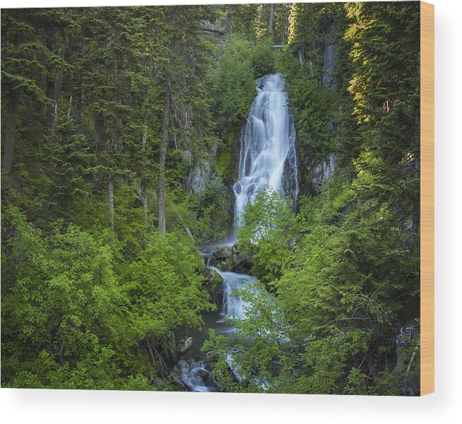 Oregon Wood Print featuring the photograph Sahale Summer by Jon Ares