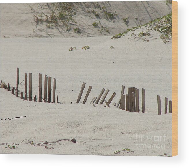 Sand Wood Print featuring the photograph Sand Dunes At Gulf Shores by Leara Nicole Morris-Clark