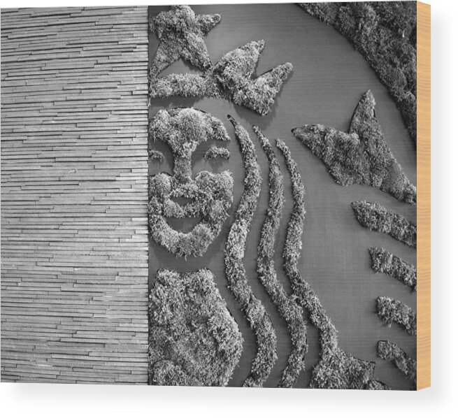 Mermaid Wood Print featuring the photograph Starbucks Mermaid BW work one by David Lee Thompson