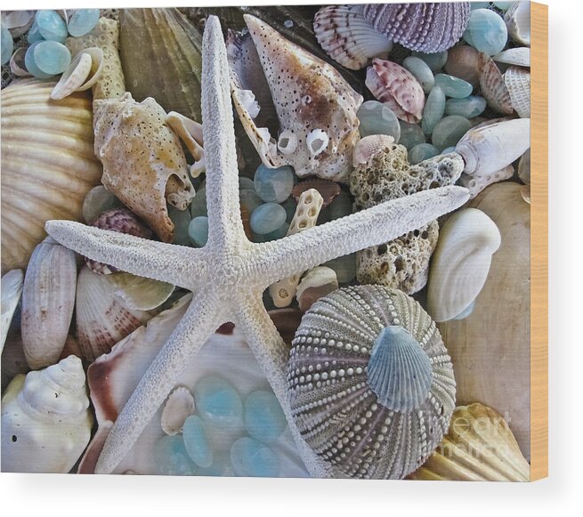 Seashells Wood Print featuring the photograph Sea Treasure by Colleen Kammerer