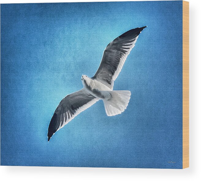 Bird Wood Print featuring the photograph Seagull Rising by John Pagliuca