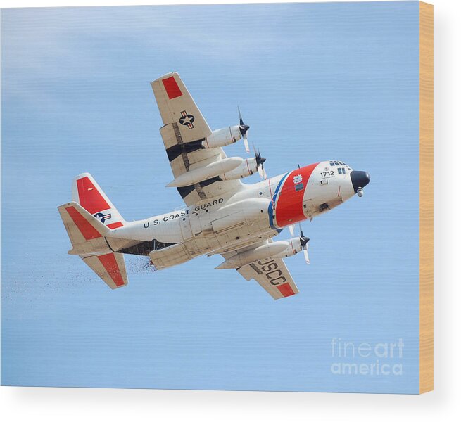 California Capital Airshow Wood Print featuring the photograph September 11th Rose Petal Tribute by Debra Thompson