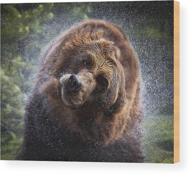 Griz Wood Print featuring the photograph Shake it Off by Steve McKinzie