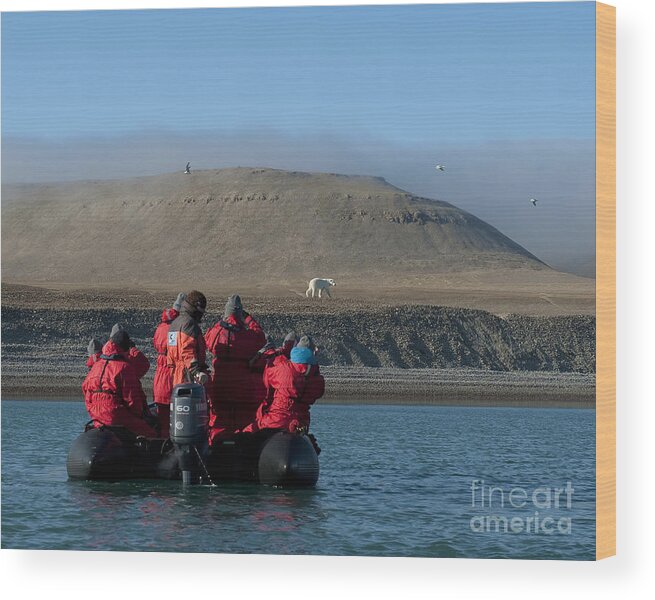 High Arctic Wood Print featuring the photograph Wildlife Explorers.. by Nina Stavlund