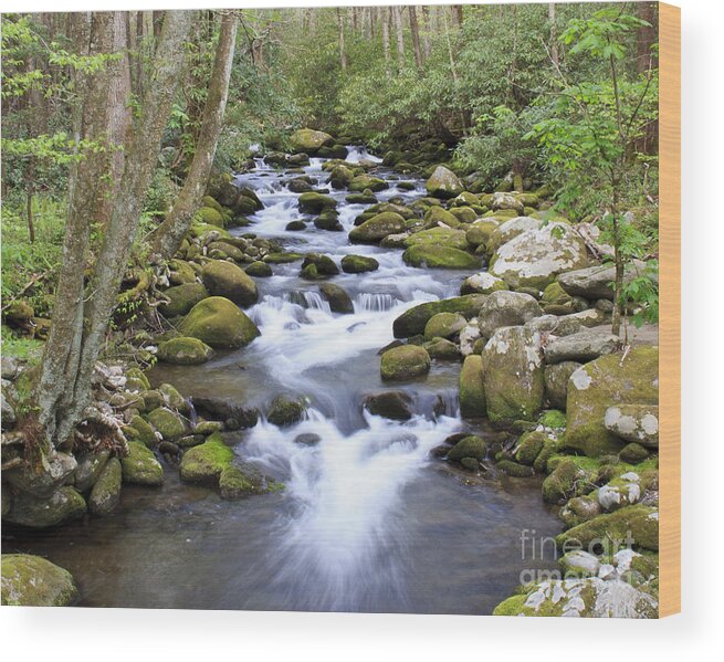Smoky Mountains Wood Print featuring the photograph Smoky Mountains Stream by Jennifer Ludlum