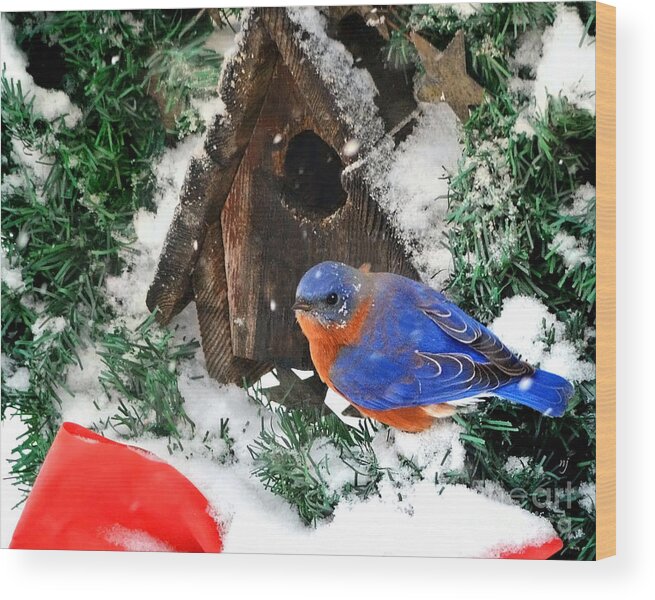 Christmas Wood Print featuring the photograph Snow Bluebird Christmas Card by Nava Thompson
