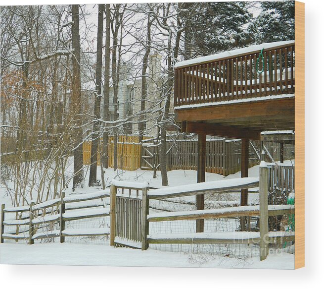 Snow Covered Fences Wood Print featuring the photograph Snow Covered Fences by Emmy Vickers