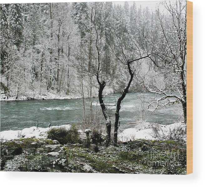 River Wood Print featuring the photograph Snowy River and Bank by Belinda Greb