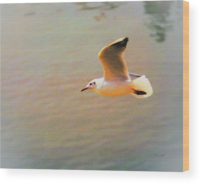 Seagull Wood Print featuring the digital art Soaring Gull by Dennis Lundell