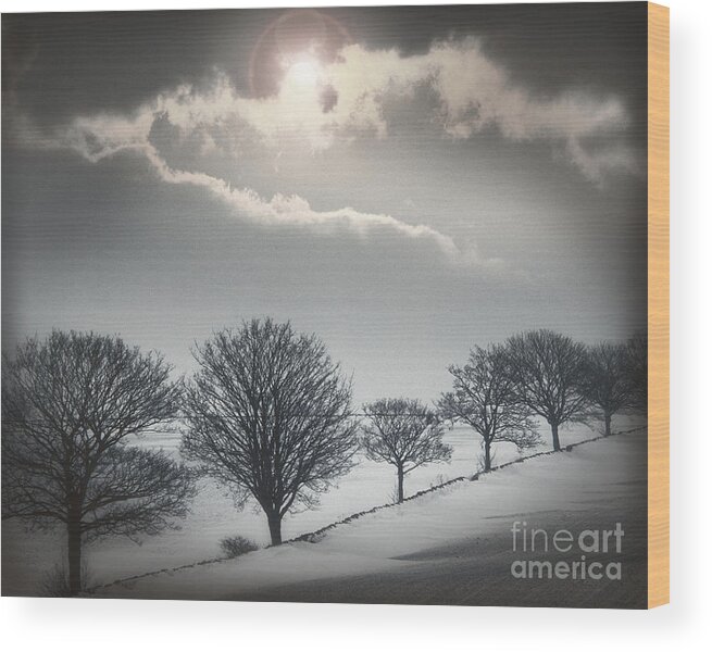 Europe Wood Print featuring the photograph Solitude of Coldness by Edmund Nagele FRPS