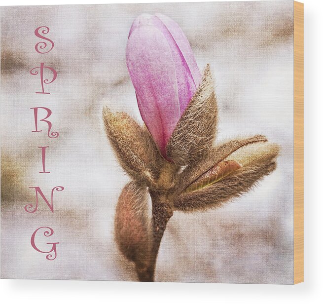 Text Wood Print featuring the photograph Spring by Cathy Kovarik