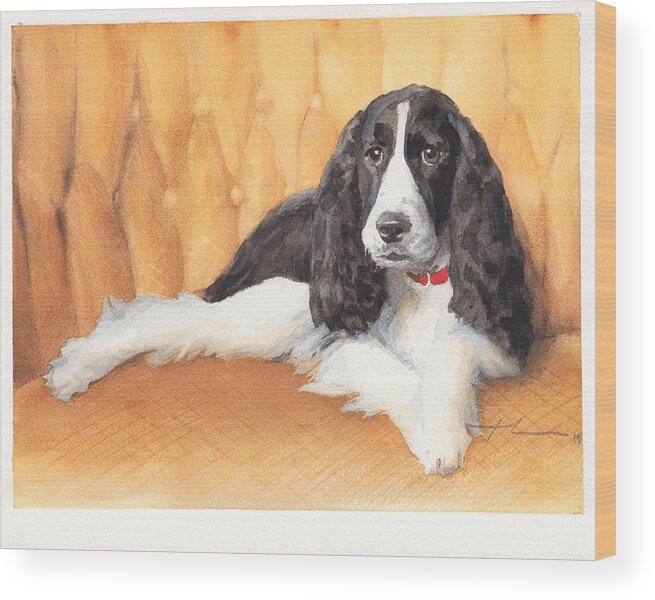 <a Href=http://miketheuer.com Target =_blank>www.miketheuer.com</a> Springer Spaniel Watercolor Portrait Wood Print featuring the drawing Springer Spaniel Watercolor Portrait by Mike Theuer