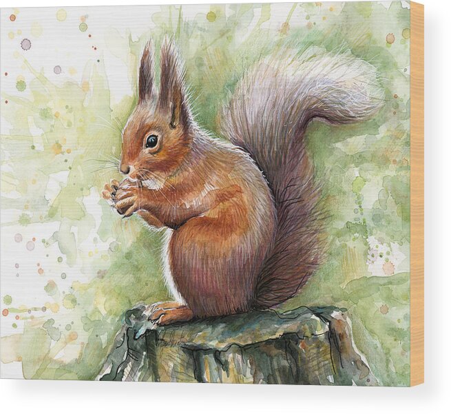 Squirrel Wood Print featuring the painting Squirrel Watercolor Art by Olga Shvartsur