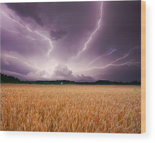 Lightning Wood Print featuring the photograph Storm over wheat by Alexey Stiop