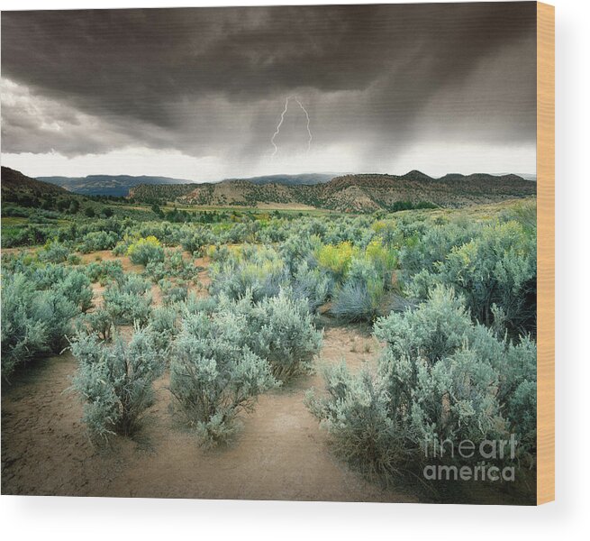 Usa Wood Print featuring the photograph Storms Never Last by Edmund Nagele FRPS