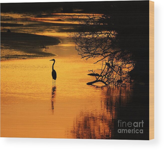 Heron At Sunset Wood Print featuring the photograph Sublime Silhouette by Al Powell Photography USA