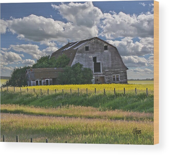 Old Barn Wood Print featuring the photograph Summer Barn 21 by Stan Kwong