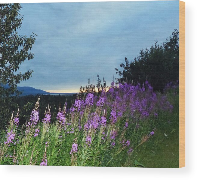 Flowers Wood Print featuring the photograph Summer Night In Wasilla by Carl Sheffer