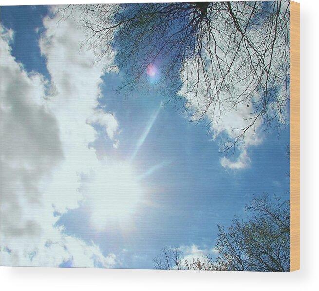 Sun Wood Print featuring the photograph Sun Burst by Pamela Hyde Wilson