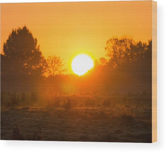 Sunrise Wood Print featuring the photograph Sunrise over Field by Neil Todd