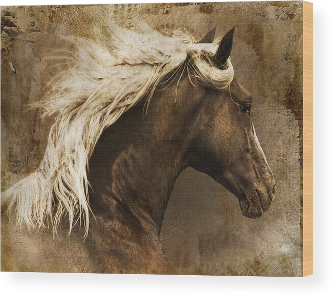 Horse Wood Print featuring the photograph Taos by Priscilla Burgers