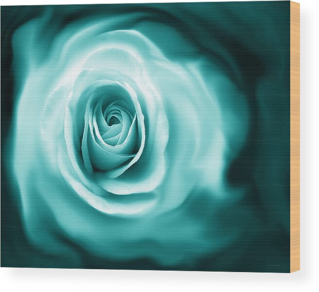 Rose Wood Print featuring the photograph Teal Rose Flower Abstract by Jennie Marie Schell