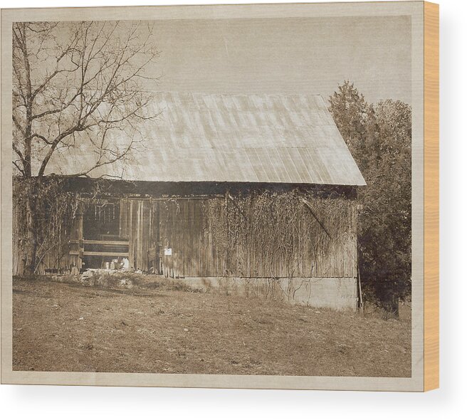 Tennessee Wood Print featuring the photograph Tennessee Farm Vintage Barn by Phil Perkins