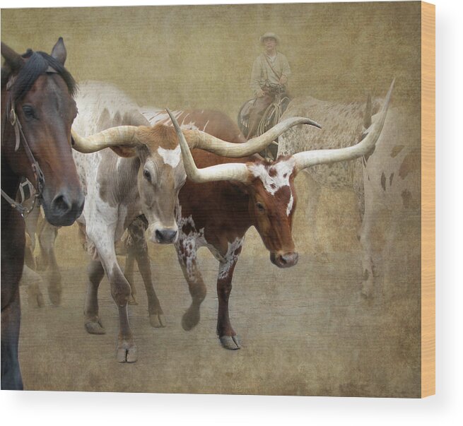 Longhorn Wood Print featuring the photograph Texas Longhorns by Angie Vogel