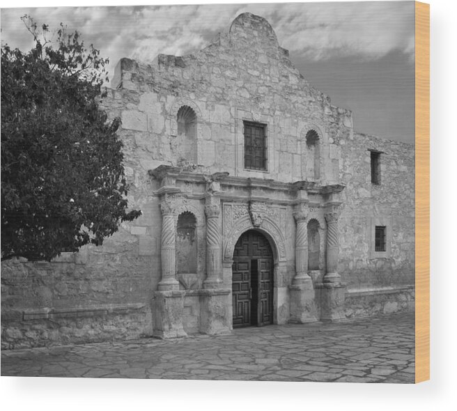 Alamo Wood Print featuring the photograph The Alamo by David and Carol Kelly