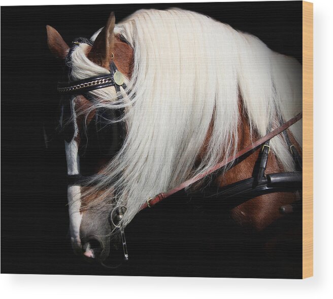 Animal Wood Print featuring the photograph The Halflinger by Davandra Cribbie