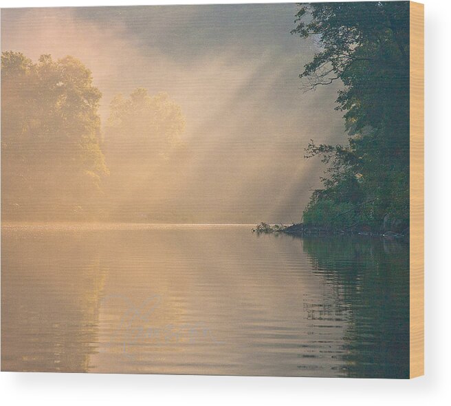 Farmington River Wood Print featuring the photograph The Morning After by Tom Cameron