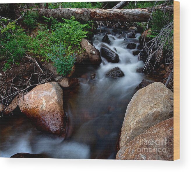 Rivers & Streams Wood Print featuring the photograph The Natural Bridge by Jim Garrison