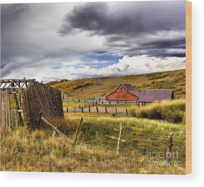Nature Wood Print featuring the photograph The Ol' Homestead by Steven Reed