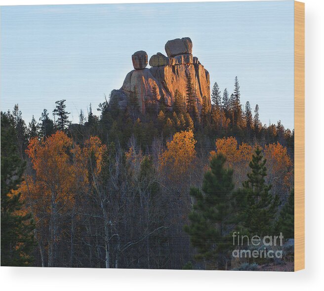 Autumn Colors Wood Print featuring the photograph The Red Head by Jim Garrison