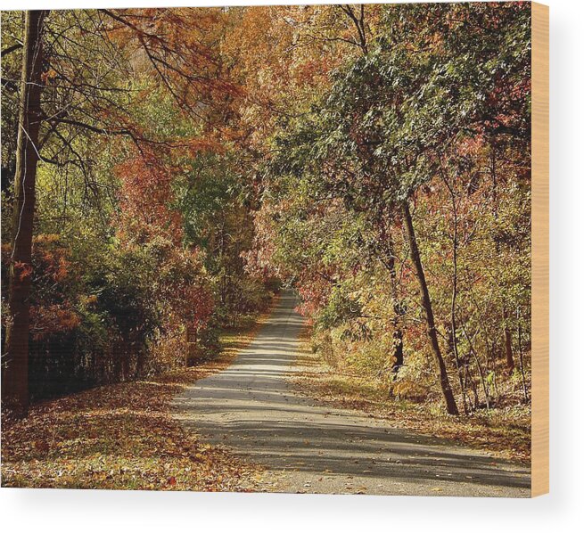 Autumn Wood Print featuring the photograph The Road Not Taken by Kathi Isserman