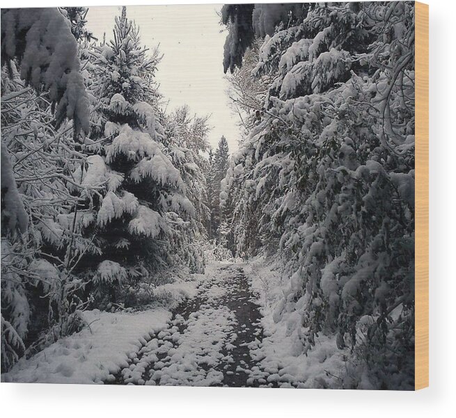 Landscape Wood Print featuring the photograph The way in snow by Felicia Tica