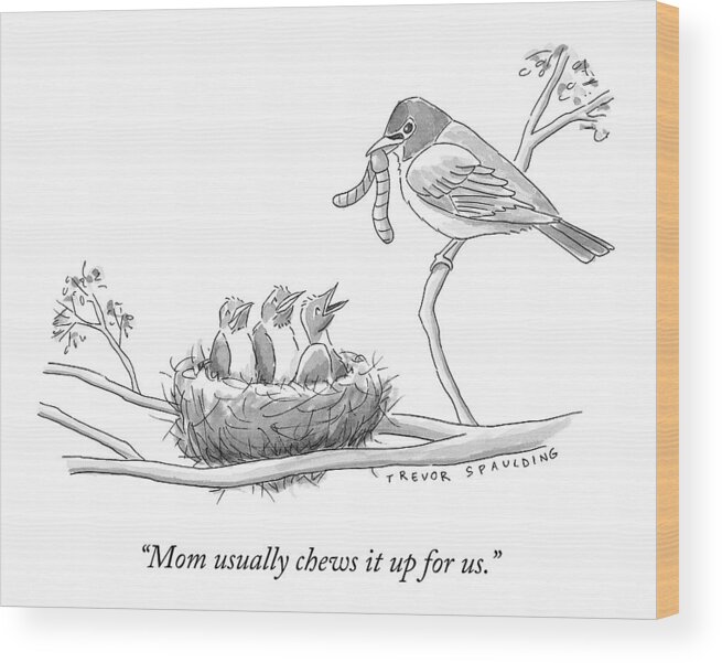 Birds Wood Print featuring the drawing Three Baby Birds In A Nest Talk To A Grown Bird by Trevor Spaulding