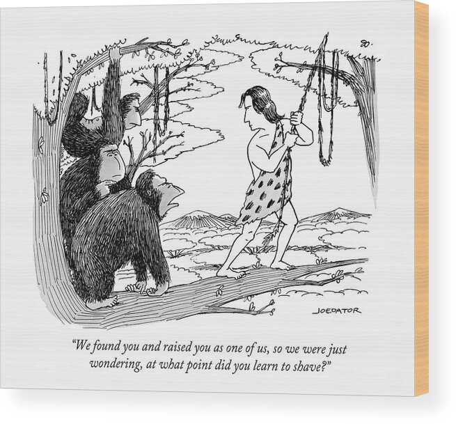 We Found You And Raised You As One Of Us Wood Print featuring the drawing Three Gorillas Talk To Tarzan by Joe Dator