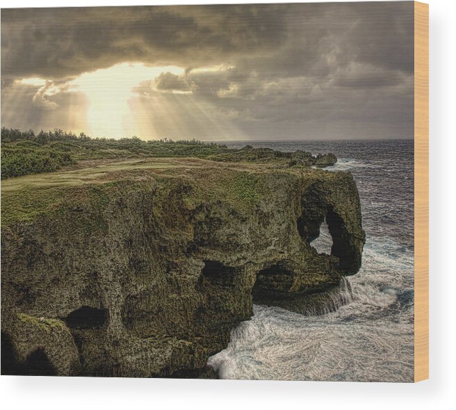 Landscape Wood Print featuring the photograph Through the Storm by Karen Walzer