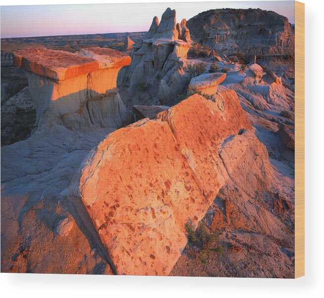 National Park Wood Print featuring the photograph Tipped Over Table by Ray Mathis