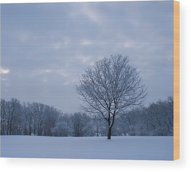 Winter Wood Print featuring the photograph Tree in Winter by Larry Bohlin