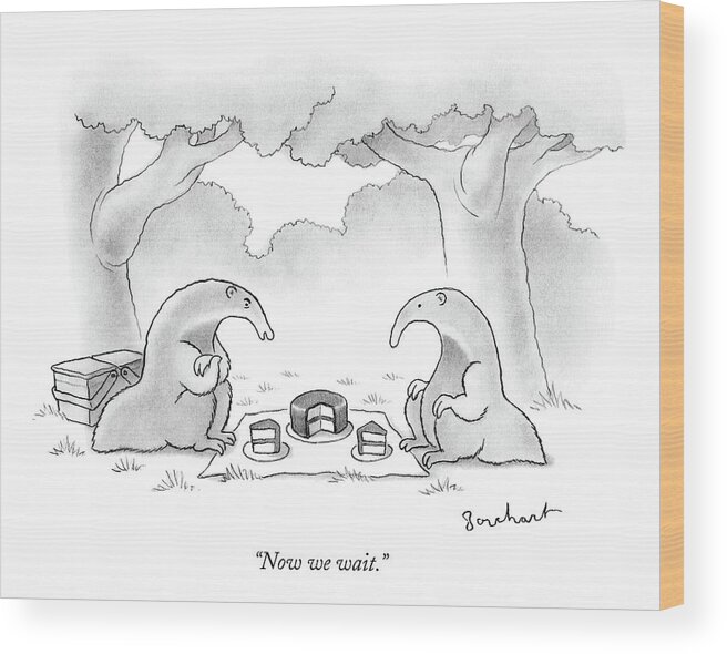 Anteater Wood Print featuring the drawing Two Anteaters On A Picnic Wait For Ants To Come by David Borchart