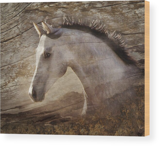 Spirited Horses Wood Print featuring the photograph UNO by Melinda Hughes-Berland