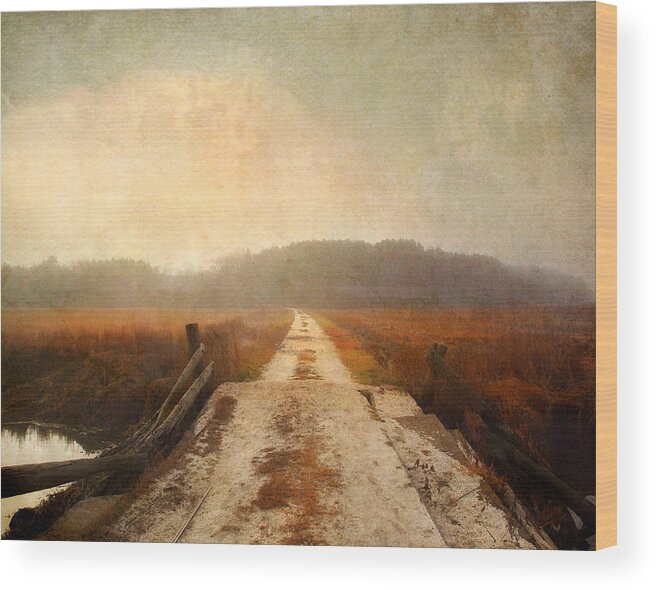 Marsh Wood Print featuring the photograph Vanishing Point by Karen Lynch