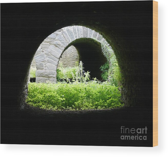Harper's Ferry Wood Print featuring the photograph Virginius Island Aqueducts by Jane Ford